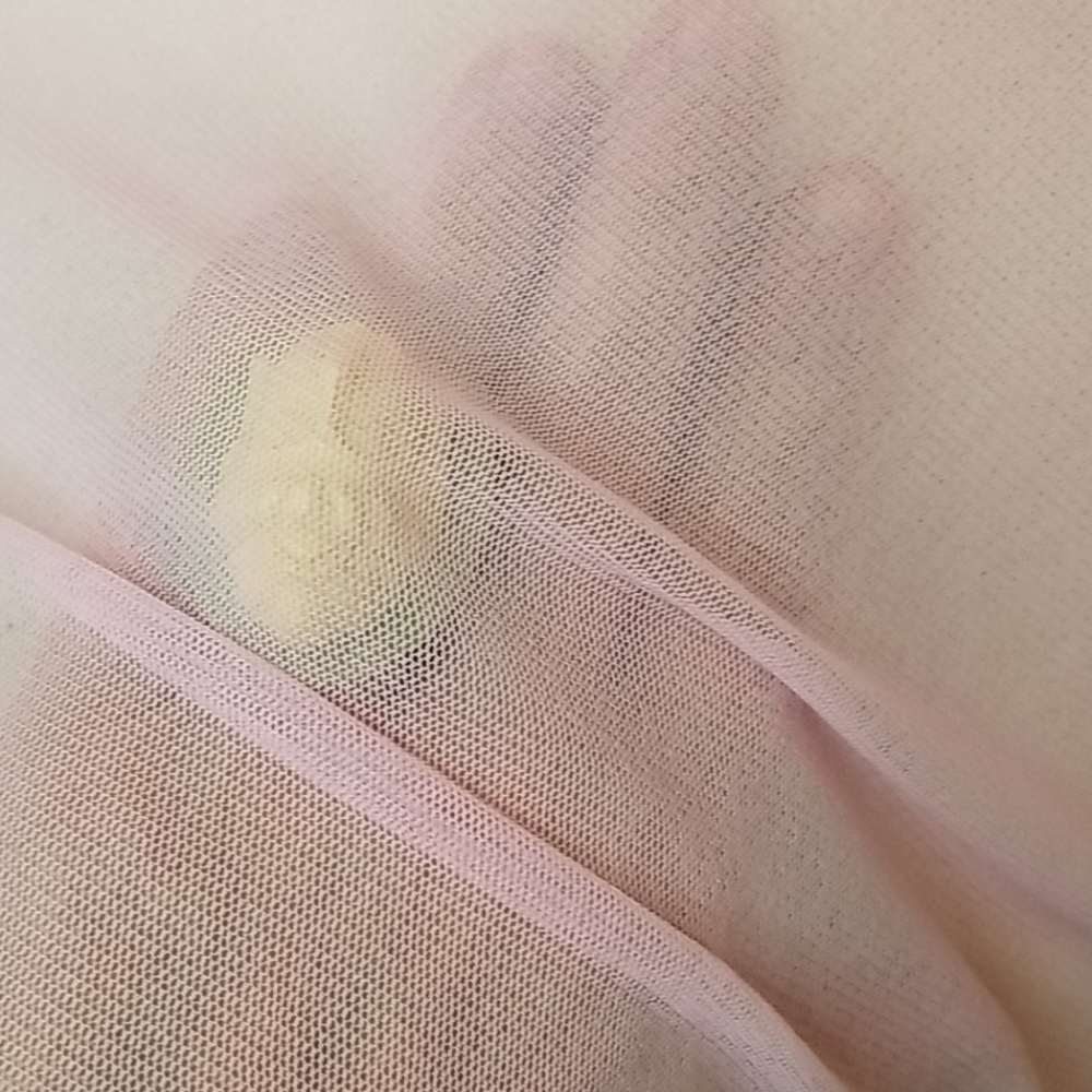 Sheer Pink Dress - Picture 3 of 8